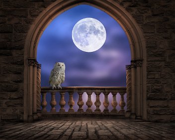 Dreamy Castle Balcony