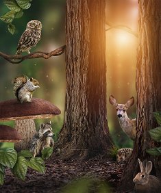 Wild furry animals, great for kids